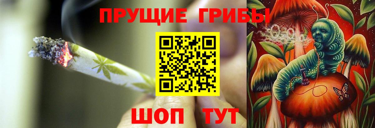Галлюциногенные грибы Cubensis Боровичи